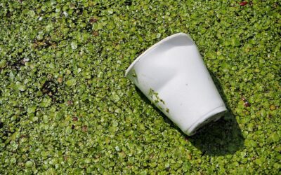 Las normativas ambientales seguirán limitando el uso del plástico